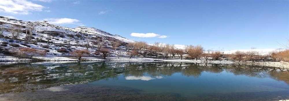 banner image of Mansi Kapoor