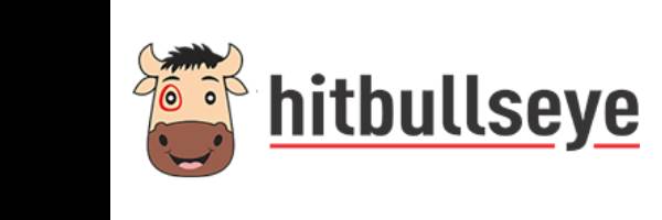 banner image of Hitbullseye Hitbullseye