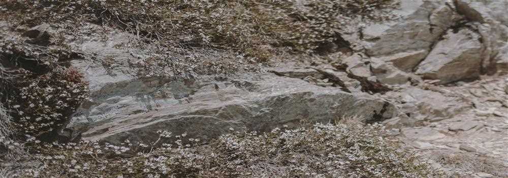 banner image of Michael Franklin