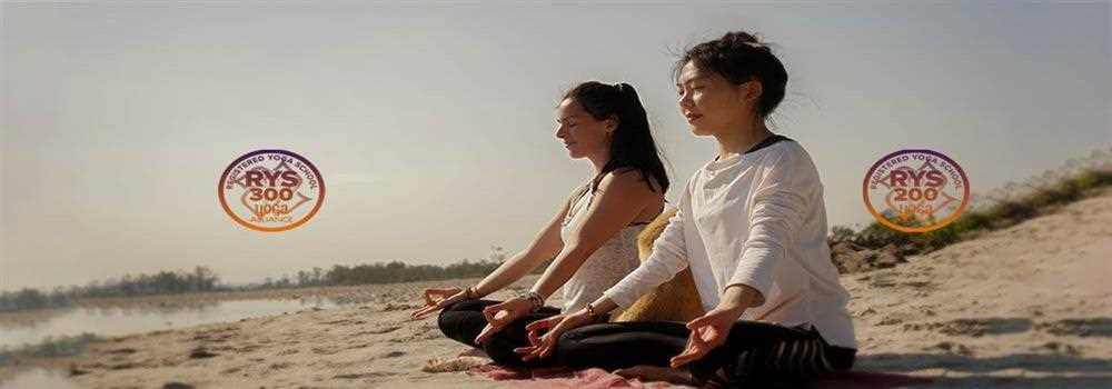 banner image of Arogya Yoga School Yoga