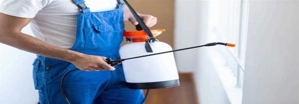 banner image of What to do when hiring a pest control service