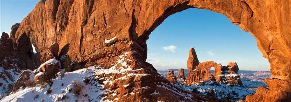 banner image of Zia Zensations