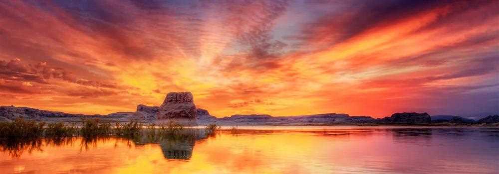 banner image of Gavi nartin