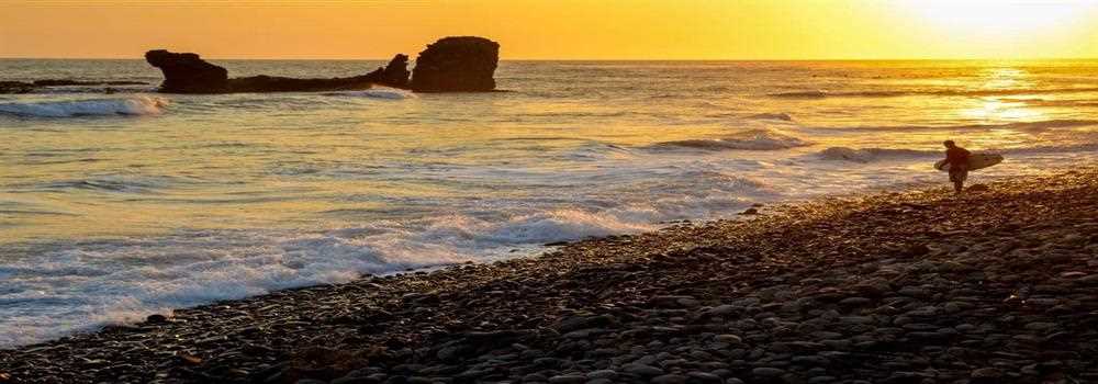 banner image of Mark Tom