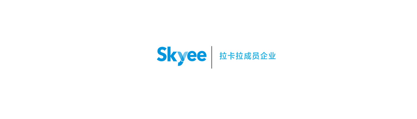 banner image of Skyee India Skyee India