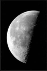 banner image of zaeem arif