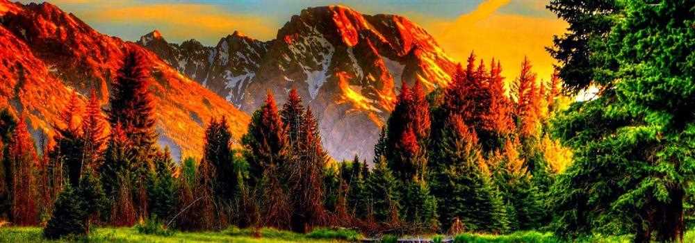 banner image of Mary Orwells