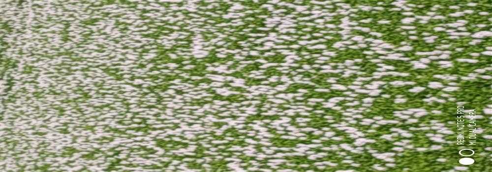 banner image of Dewan Md Al Yeasin