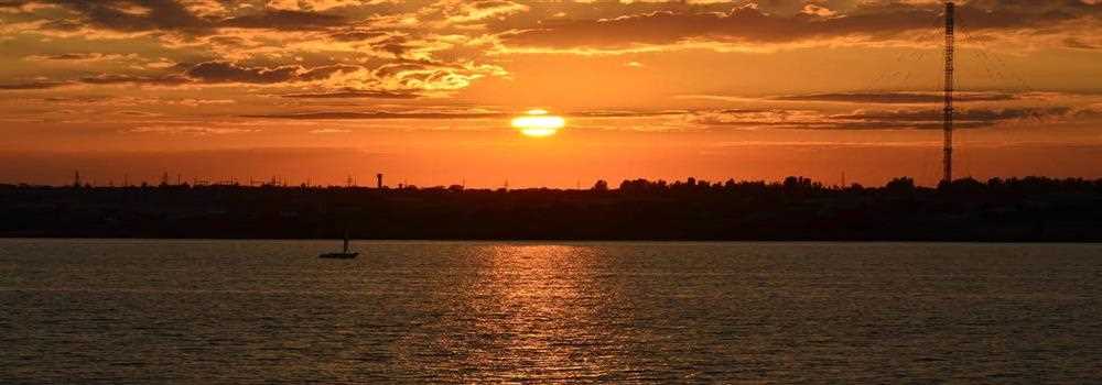 banner image of Ann Small