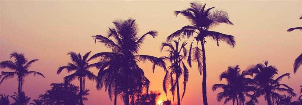 banner image of Rezaul Karim