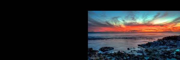 banner image of Thomas Cooper