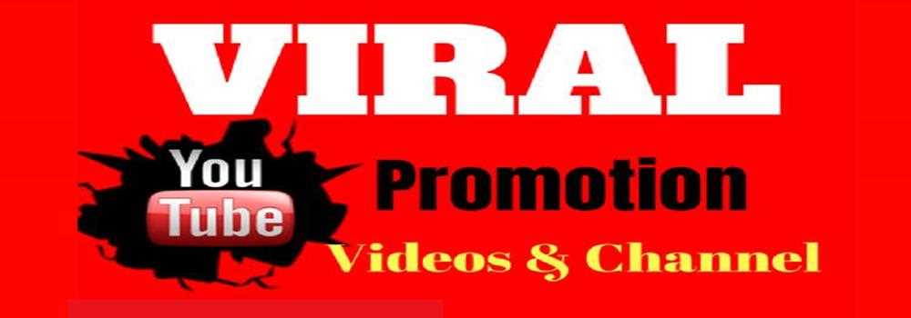 banner image of Leland Schwartz