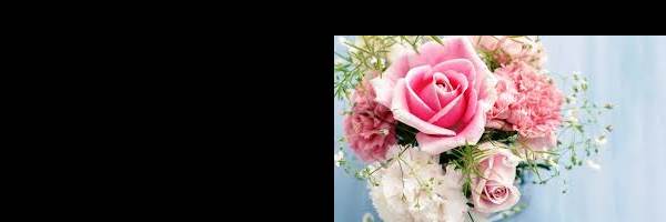 banner image of Manish Singh