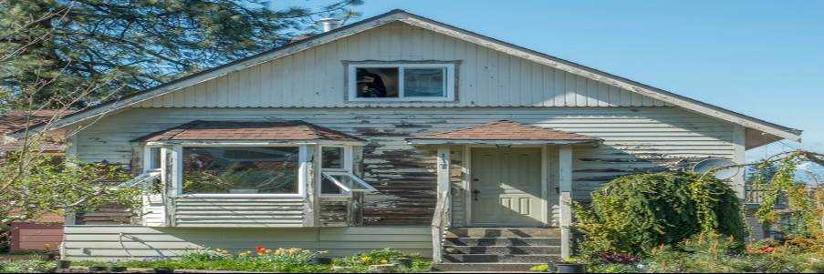 banner image of K Webster