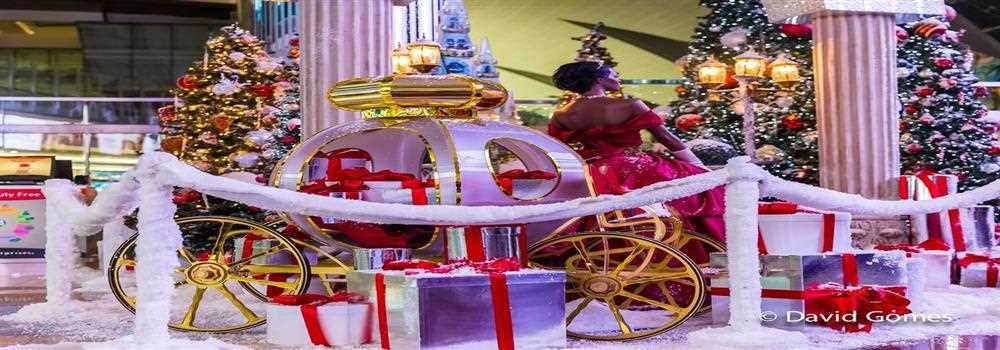 banner image of Merry Gomes