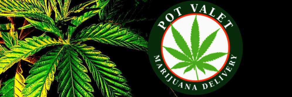 banner image of Pot Valet C10-00000459-Lic