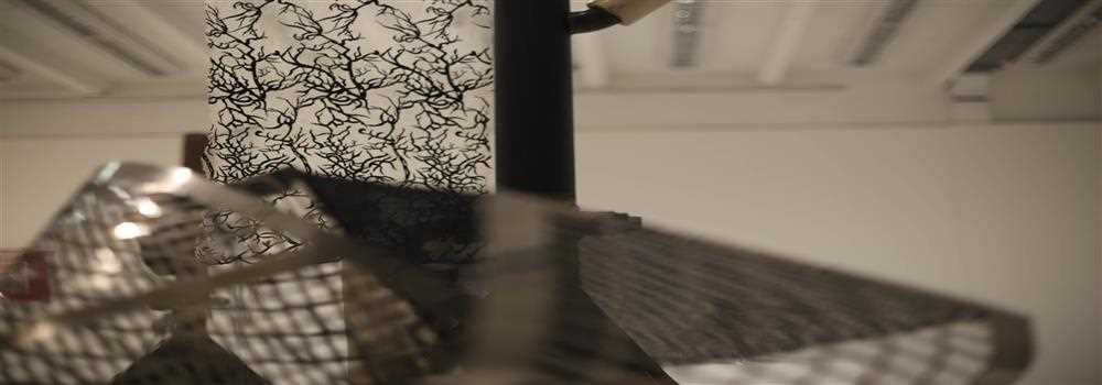 banner image of Kylie Berger