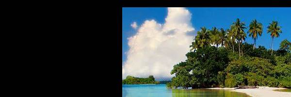 banner image of bala karthik