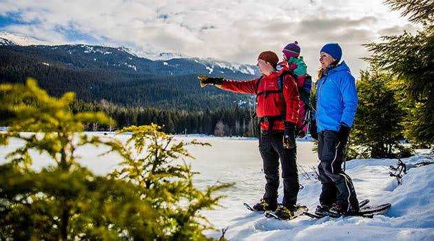 banner image of Olivia Sophie