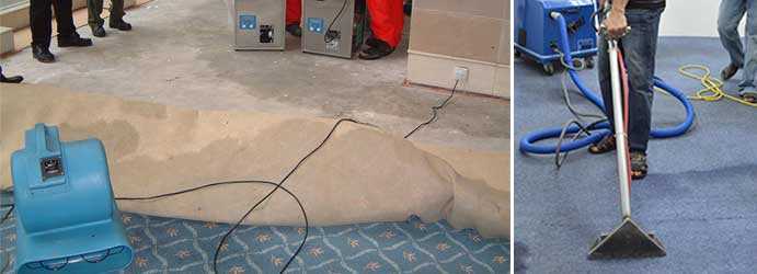 banner image of kent justin