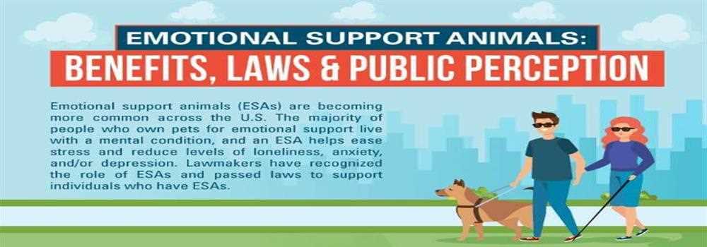 banner image of James Anderson