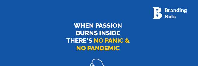 banner image of Brandingnuts Digital Marketing Agency Brandingnuts