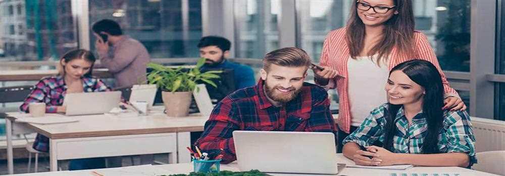 banner image of Zen Malik Consulting 