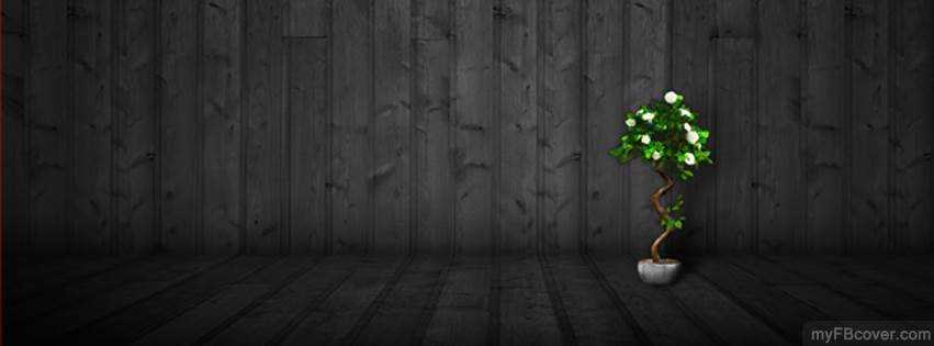 banner image of Adriana Hamilton