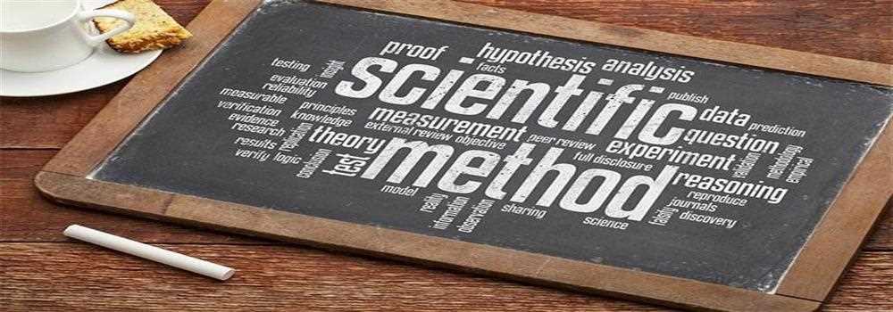 banner image of Leann Bloch