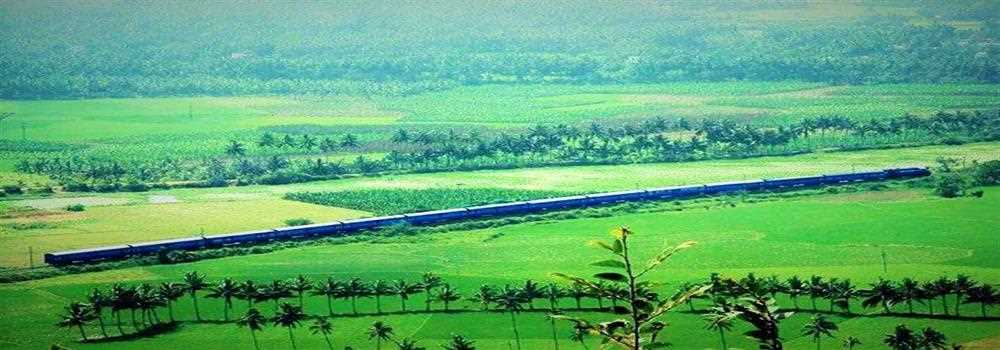 banner image of nancy lopez
