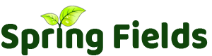 banner image of Best Nursery in Abu Dhabi