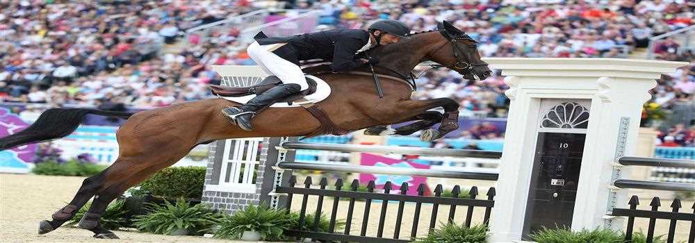 banner image of Gamescoin information