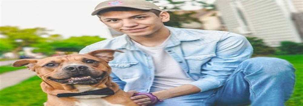 banner image of Mason Dillon