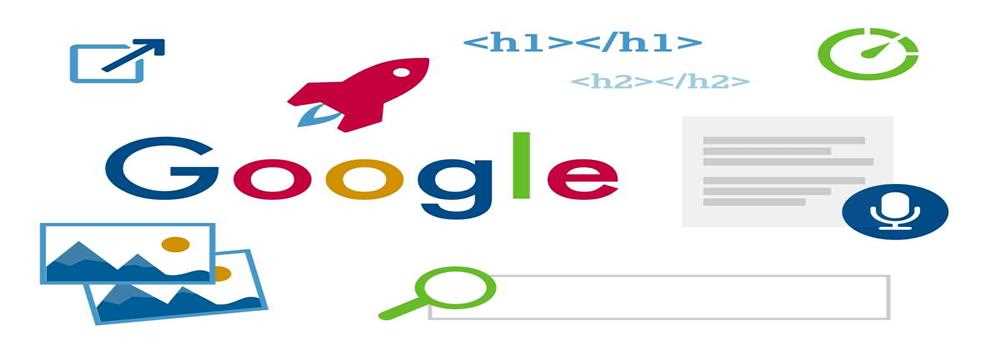 banner image of Erika Miller