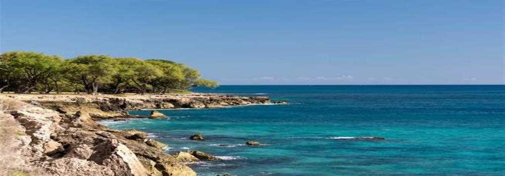 banner image of Steve Johnson