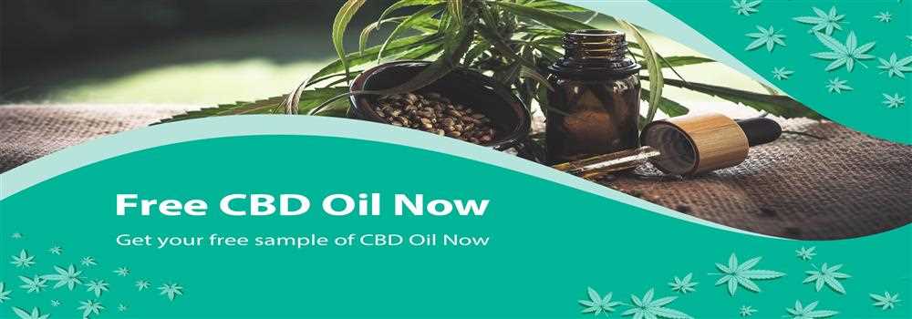 banner image of James Rivers