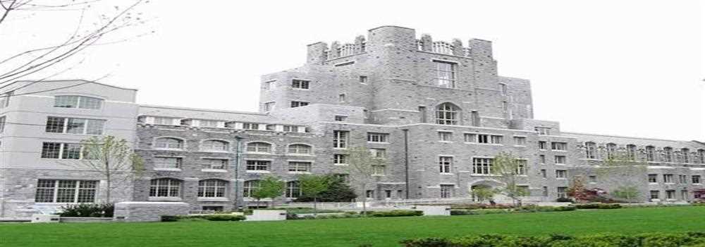 banner image of Shabbir khan