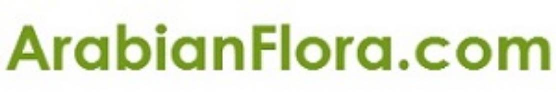banner image of Arabian Flora