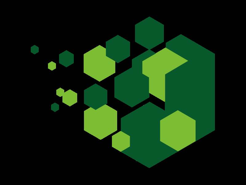 banner image of meenati biswal