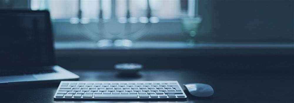 banner image of judith ohnline