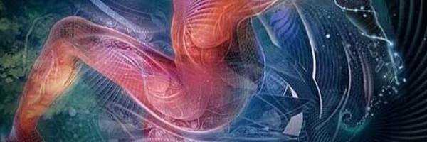 banner image of Ved Luxmi