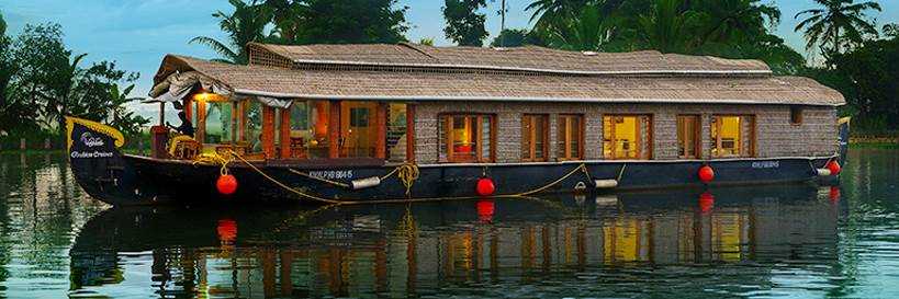 banner image of Jinu Jolly