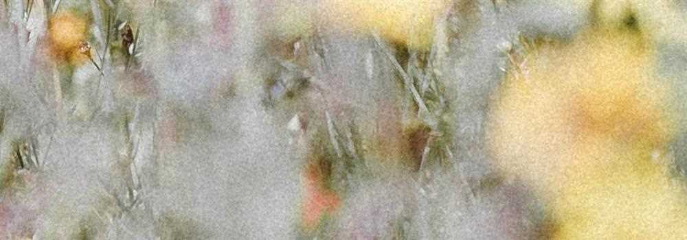 banner image of Duncan Smith