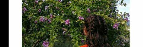 banner image of Arohi Gill