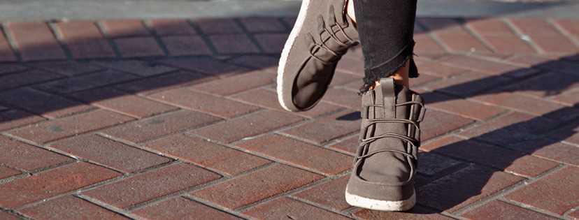 banner image of drooth Ltd drooth Ltd