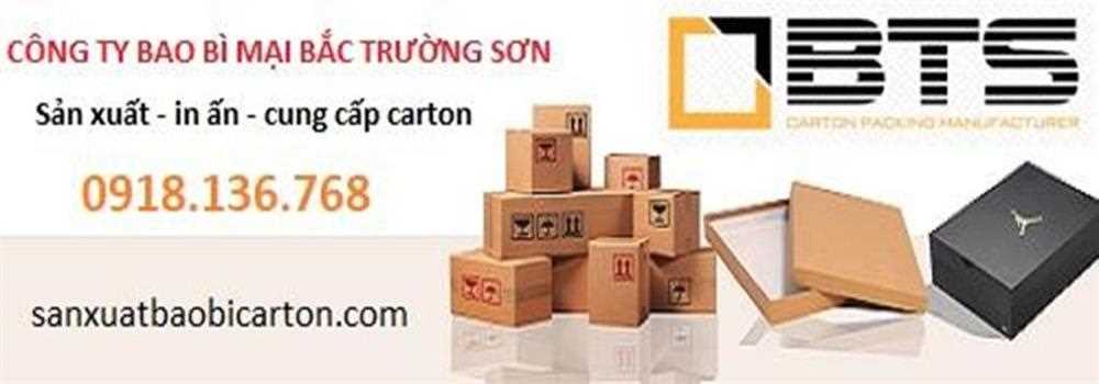 Cty Bắc Trường Sơn cover