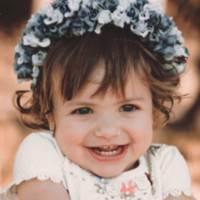 banner image of Info Captain