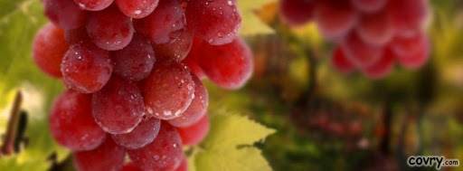 banner image of Dean Bryan