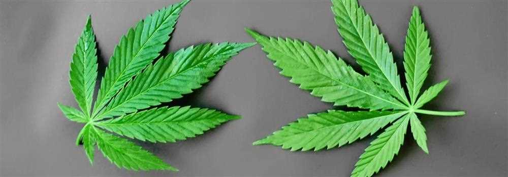 banner image of Justin L