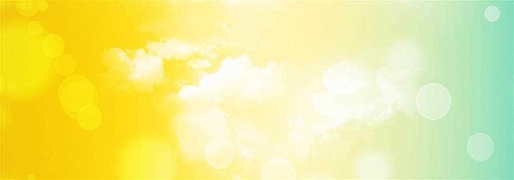 banner image of Robyna Butera